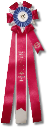 Bean and Bacon Days Grande Parade 2nd Prize Ribbon