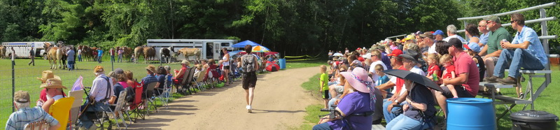 Bean and Bacon Days Crowd